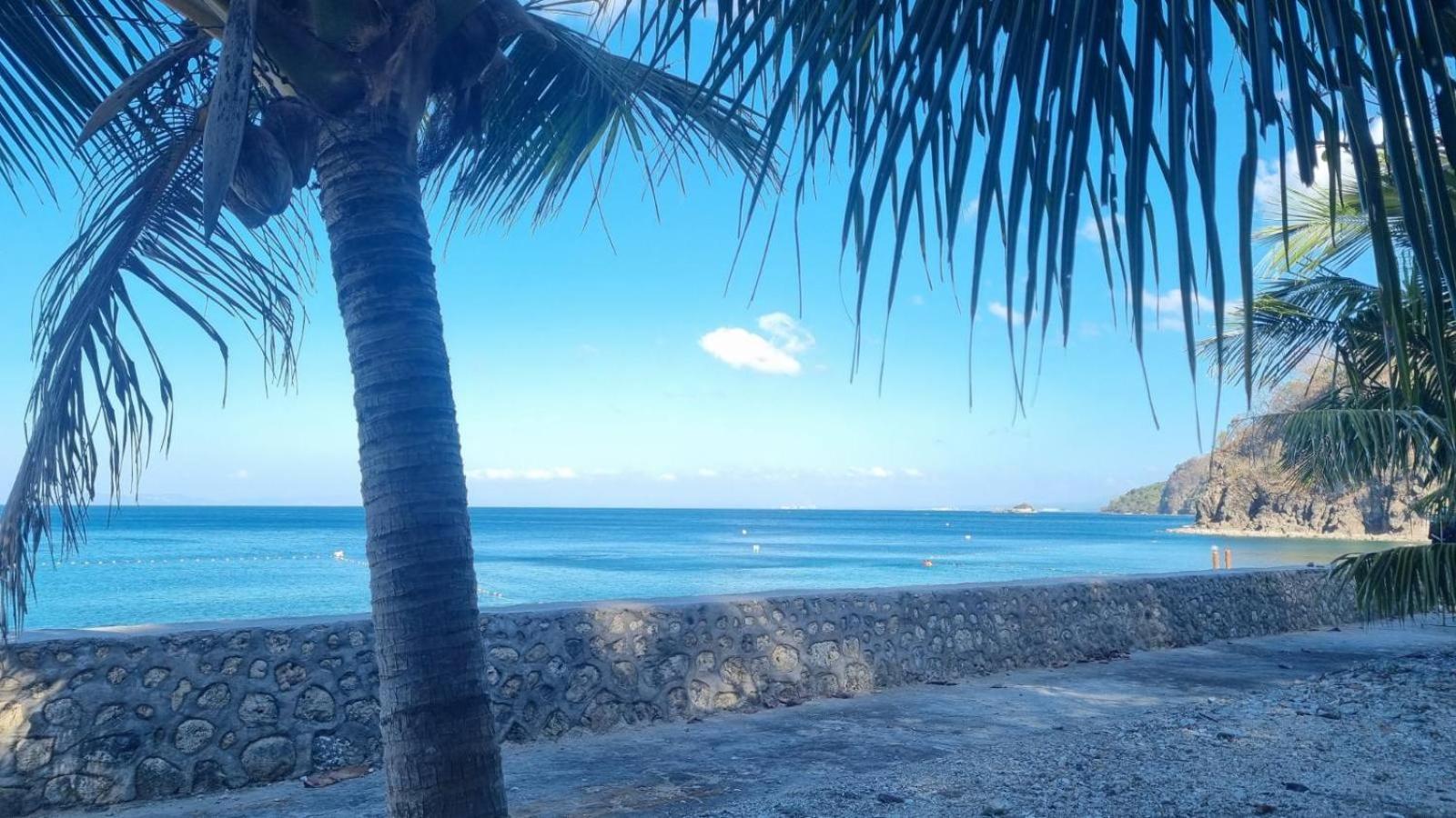 Dive And Trek Resort And Marine Sanctuary Bauan Экстерьер фото