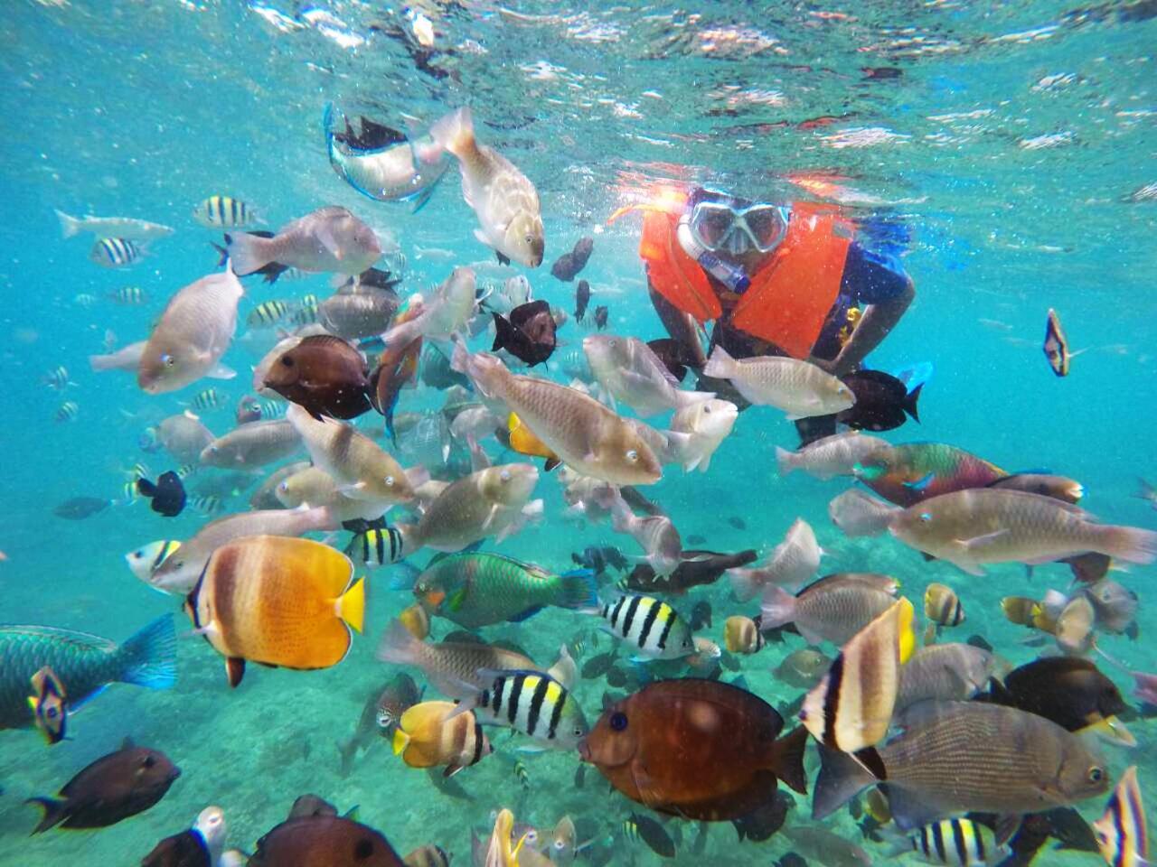 Dive And Trek Resort And Marine Sanctuary Bauan Экстерьер фото